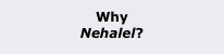 Why  Nehalel?